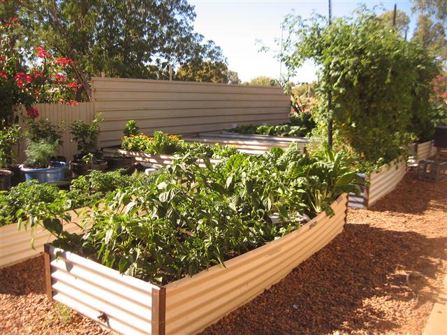 TODAY IS THE DAY 003 (Small).JPG