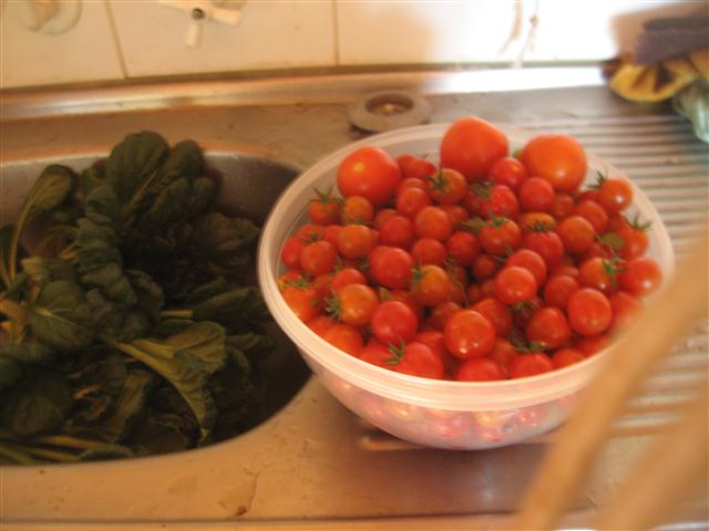 TODAY IS THE DAY 001 (Small).JPG