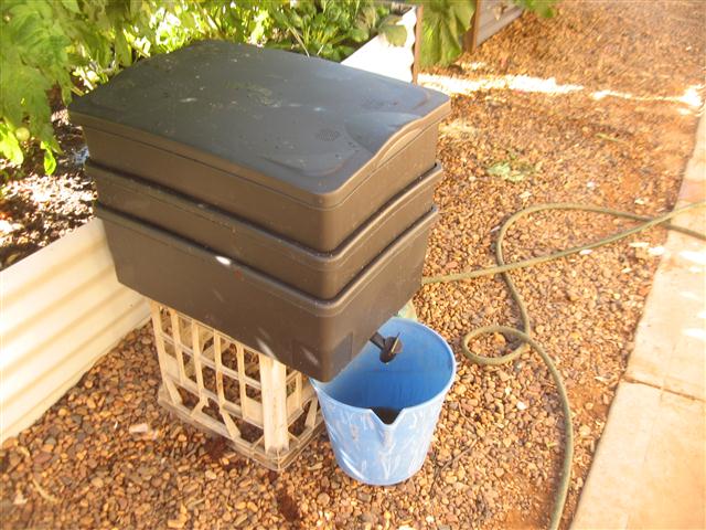 TODAY IS THE DAY 002 (Small).JPG