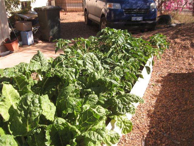 TODAY IS THE DAY 004 (Small).JPG