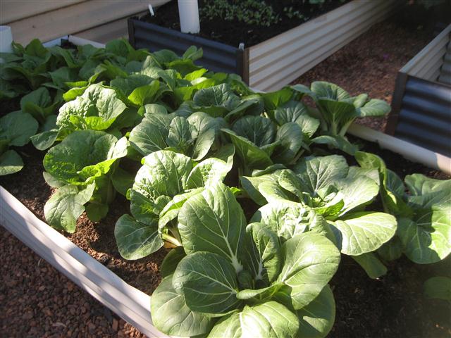 TODAY IS THE DAY 005 (Small).JPG