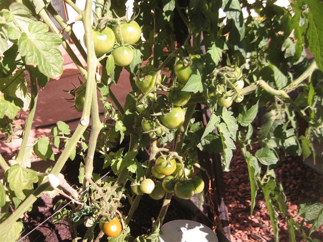 TODAY IS THE DAY 007 (Small).JPG