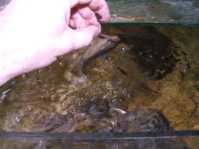 DSCF2557 (Medium).JPG