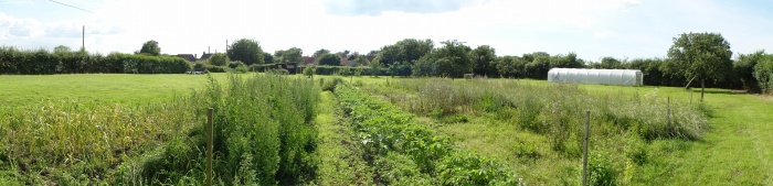 wide angle looking SW.JPG