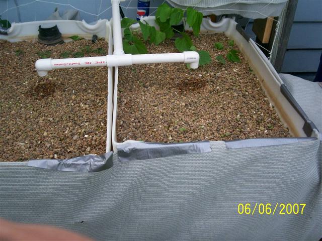 000_0335 (Small).jpg