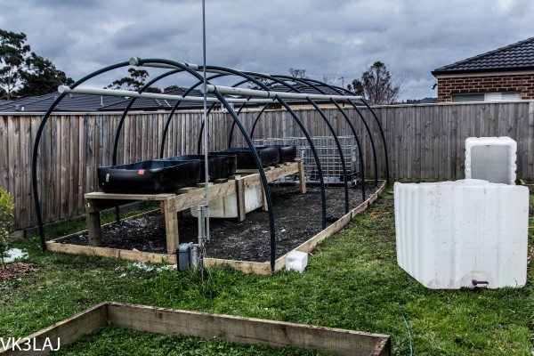 20120812-_MG_2975 (Custom).jpg