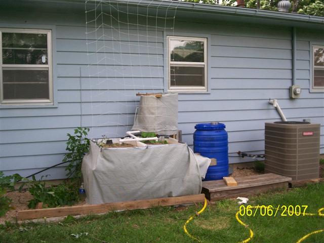 000_0334 (Small).jpg