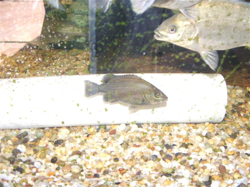 DSCF2562 (Medium).JPG