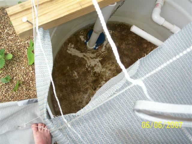 000_0336 (Small).jpg