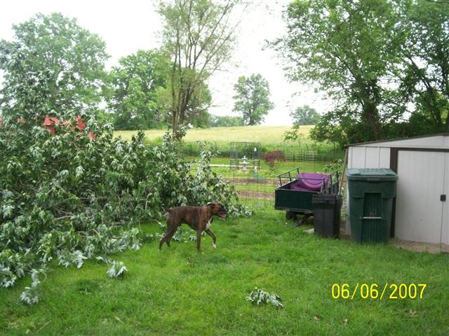 000_0341 (Small).jpg