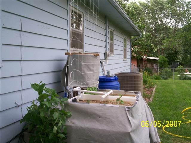 000_0339 (Small).jpg