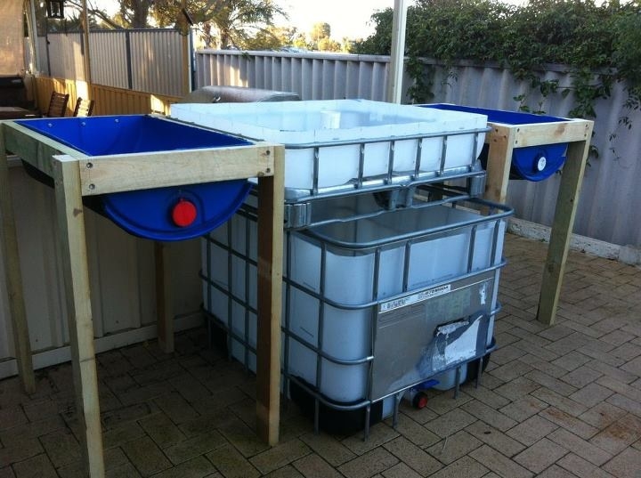 Aquaponics set up.JPG