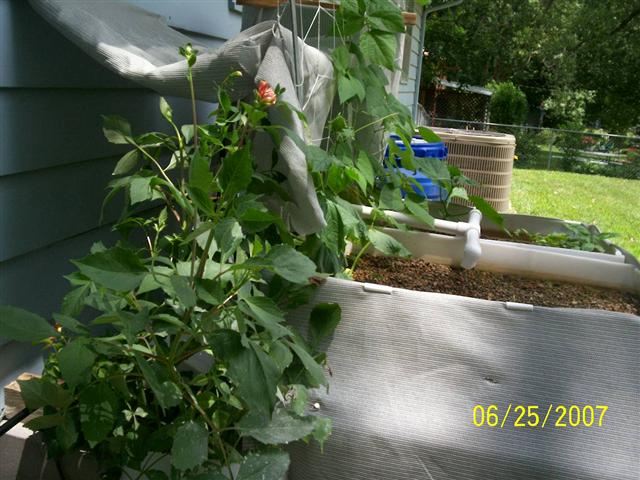 100_0099 (Small).jpg