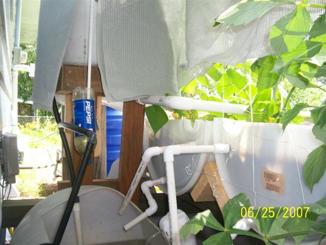 100_0098 (Small).jpg