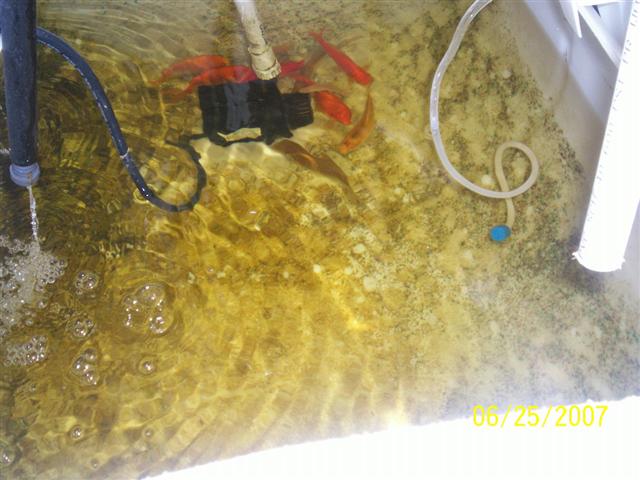 100_0096 (Small).jpg