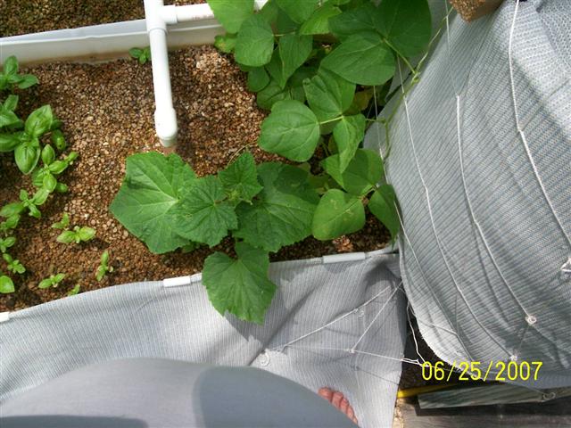 100_0103 (Small).jpg