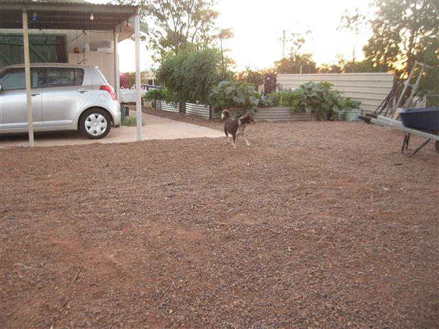 TODAY IS THE DAY 008 (Small).JPG