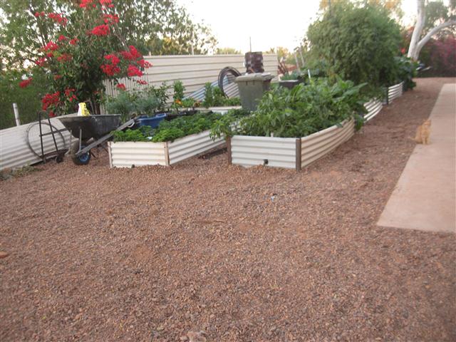 TODAY IS THE DAY 005 (Small).JPG