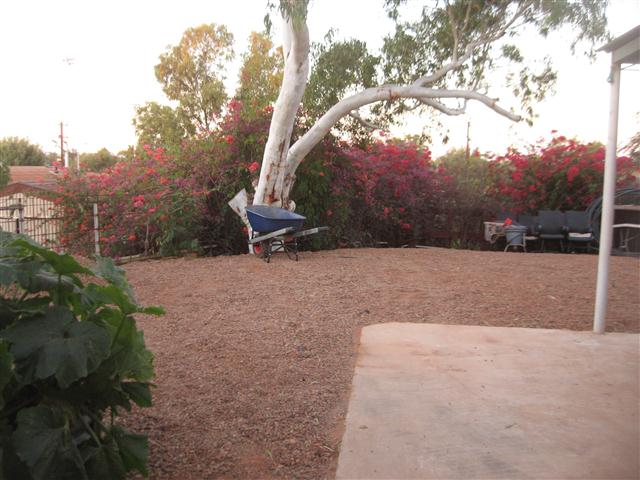 TODAY IS THE DAY 006 (Small).JPG