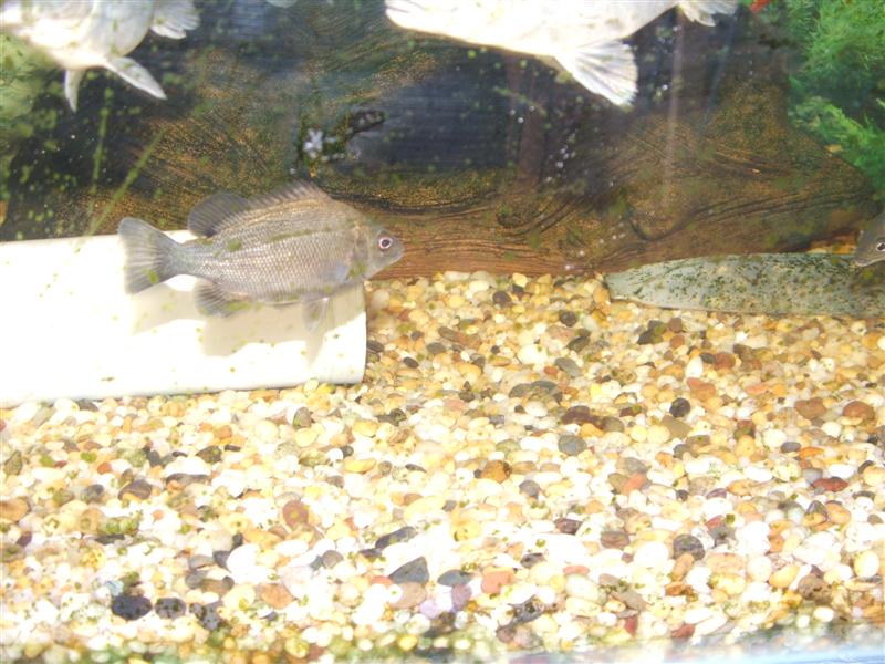 DSCF2560 (Medium).JPG