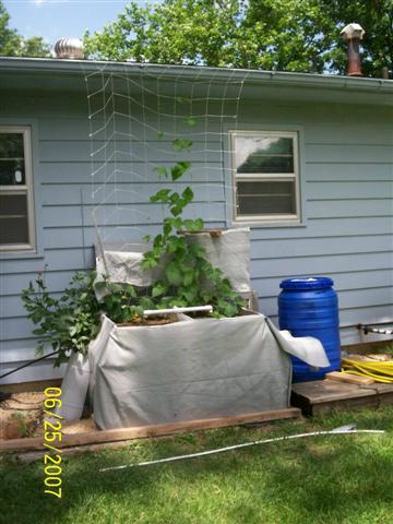 100_0101 (Small).jpg