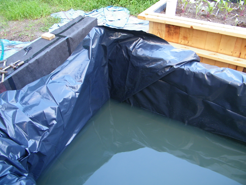 WB 2  - start - liner 4.jpg