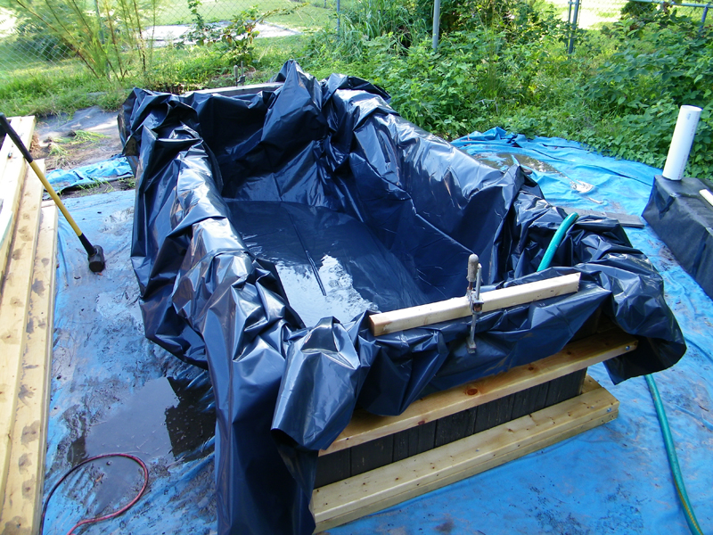 WB 2  - start - liner 1.jpg