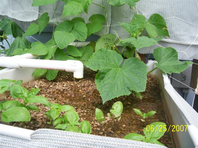 100_0107 (Small).jpg