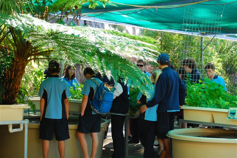 DSC_0203 (Custom).JPG