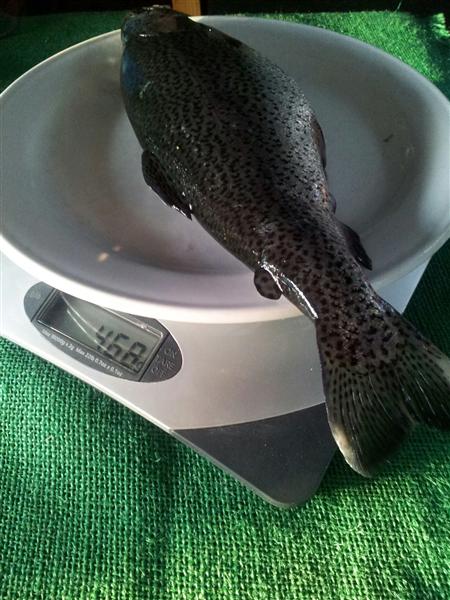 259213_4504852666205_1330251066_o (Custom).jpg