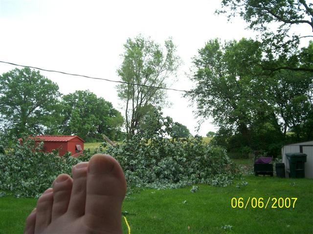 000_0344 (Small).jpg