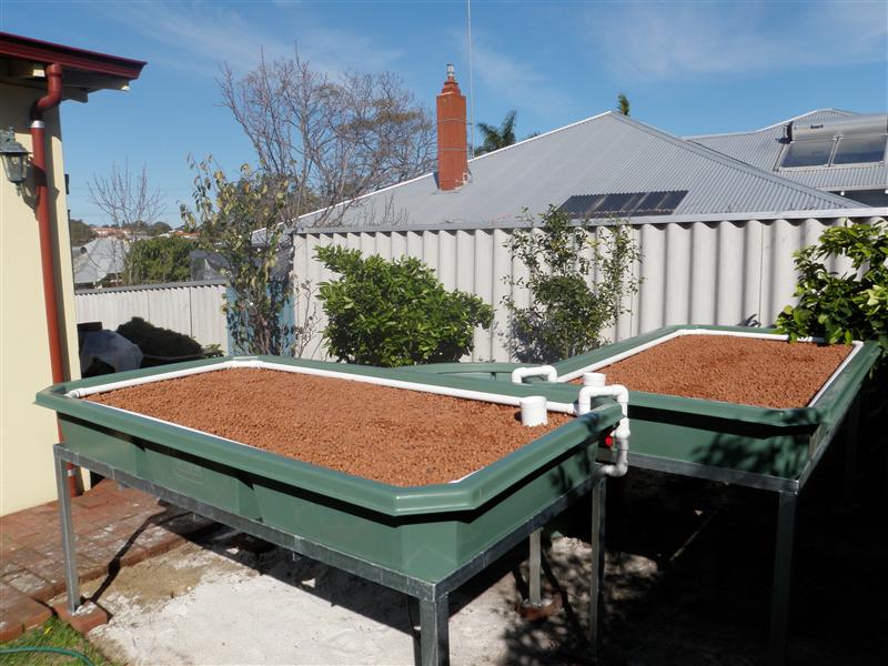 P8160305 (Custom).JPG