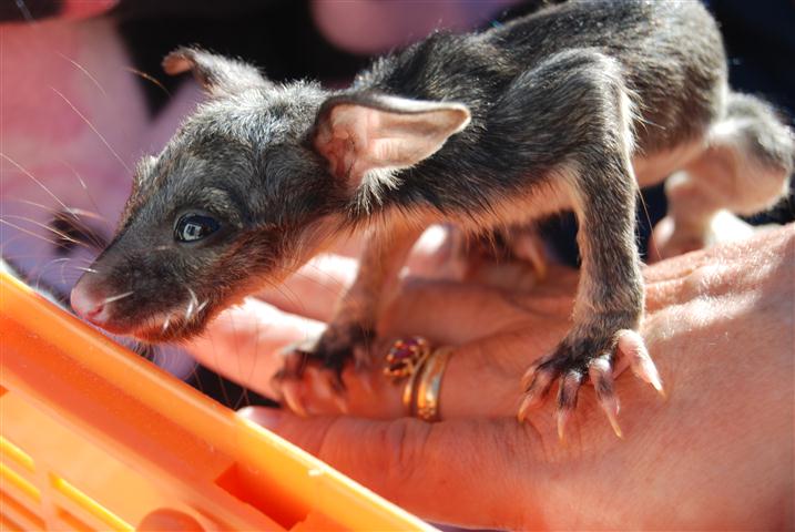 DSC_0225 (Small).JPG