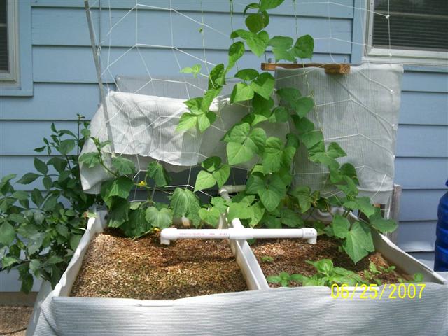 100_0109 (Small).jpg