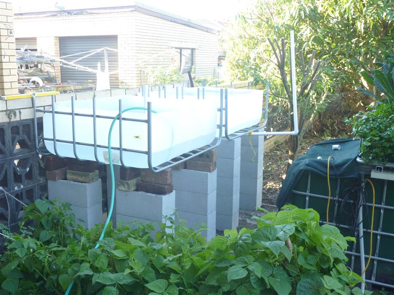 P1060274 (Custom).JPG