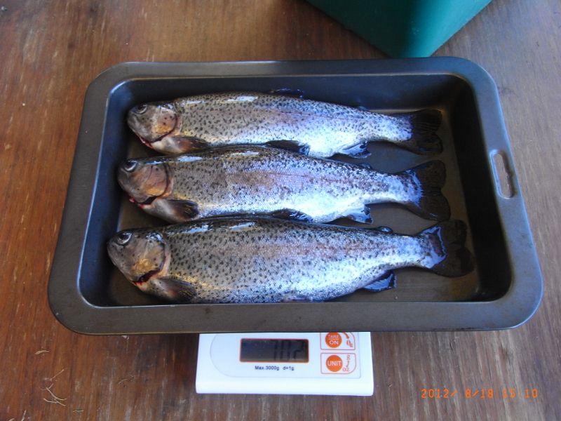 RIMG0011 (800x600).jpg