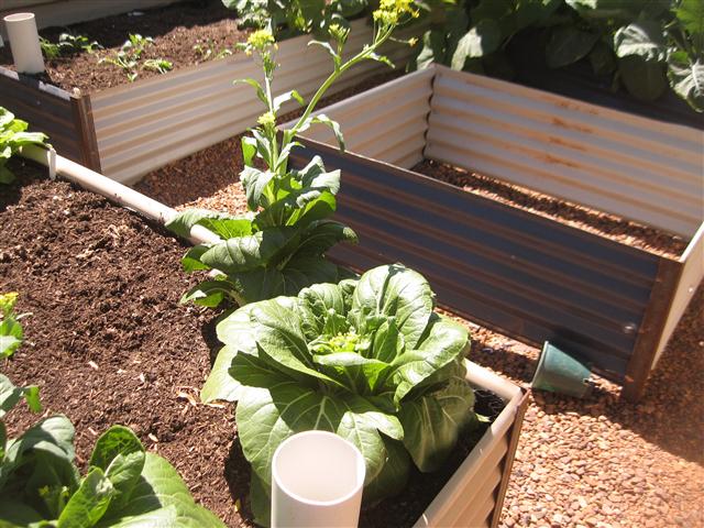 TODAY IS THE DAY 001 (Small).JPG