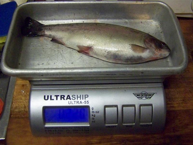 100_7232 (Custom).JPG