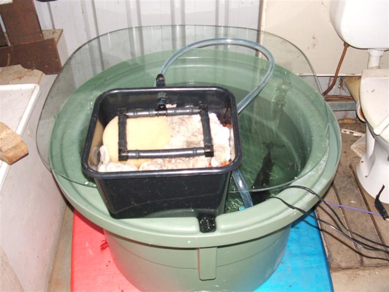 DSCF4074 (Medium).JPG