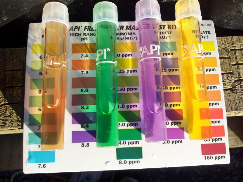 20120821_081315 (Custom).jpg