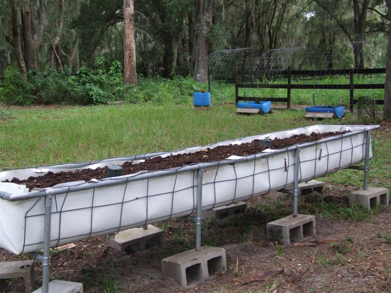 Big wicking bed (Medium).JPG