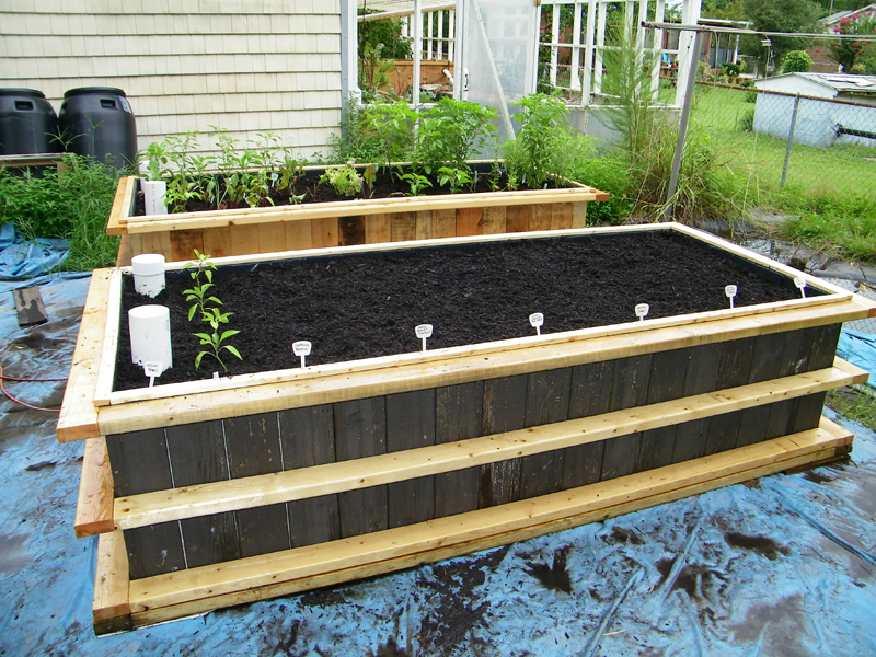 WB 2 finished and planted .jpg