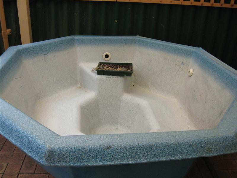 IMG_0226 (Medium).jpg