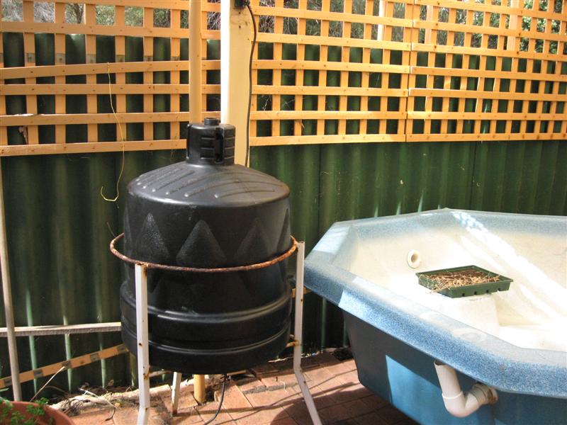 IMG_0228 (Medium).jpg