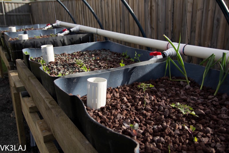 20120825-_MG_2988 (Custom).jpg