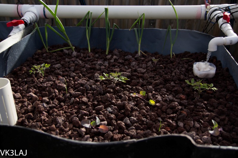 20120825-_MG_2989 (Custom).jpg