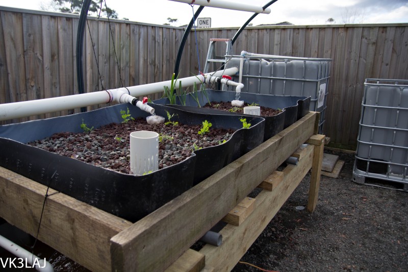 20120825-_MG_2994 (Custom).jpg