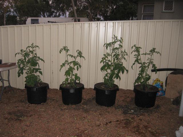 TODAY IS THE DAY 012 (Small).JPG