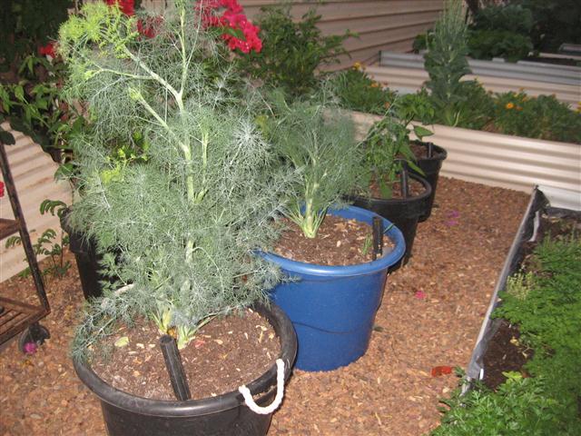 TODAY IS THE DAY 003 (Small).JPG