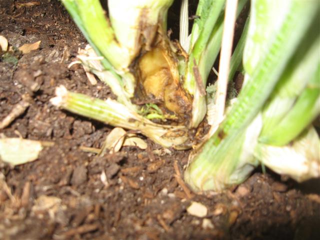 TODAY IS THE DAY 002 (Small).JPG